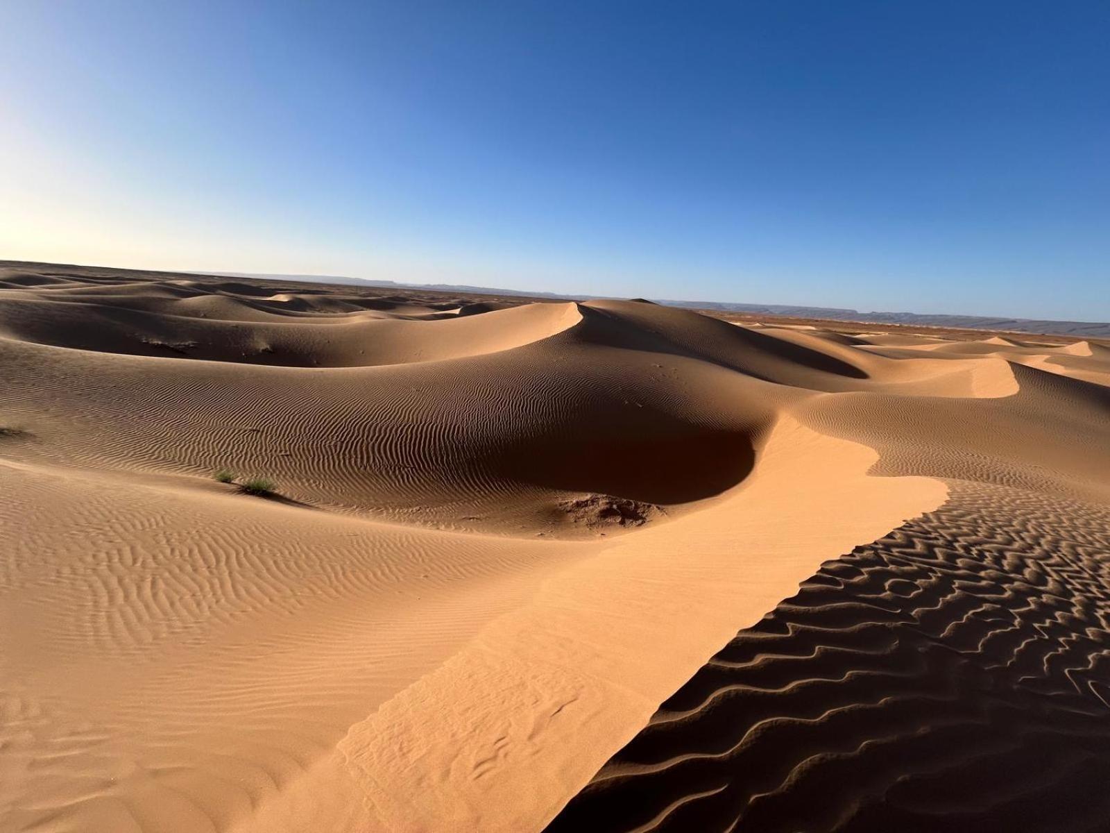Bivouac La Dune Blanche M'Hamid Dış mekan fotoğraf
