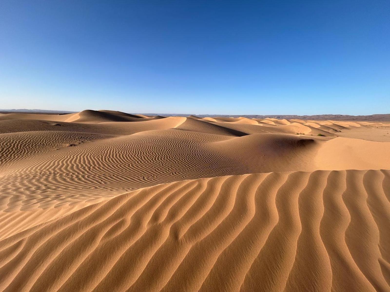 Bivouac La Dune Blanche M'Hamid Dış mekan fotoğraf