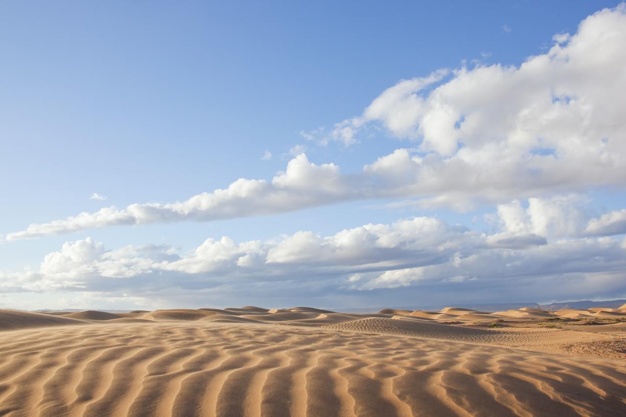Bivouac La Dune Blanche M'Hamid Dış mekan fotoğraf